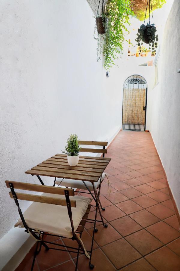 Appartamento Panoramico La Rosa Dei Venti - Maestrale Ischia Exterior foto